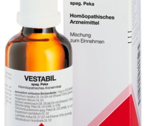 VESTABIL | ვესტაბილი
