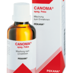 CANOMA | კანომა